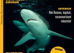 Revija Avantura 7/2019