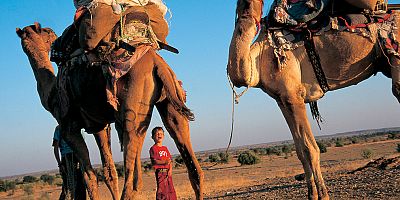Potovanje s kamelami, Radžestan, Indija, deček, Grega, potovanja Šeruga