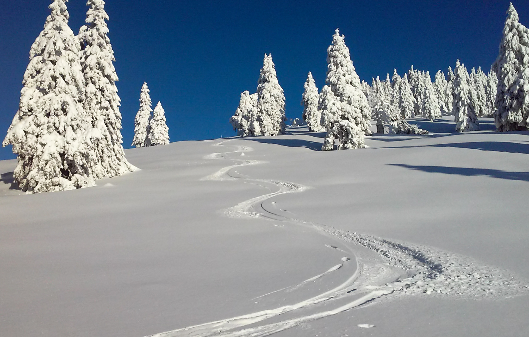 Turno smučanje Kriška planina